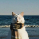 This is the logo of the coin.